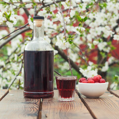 A bottle and a glass of berry liqueur on the background of a flowering tree.