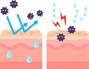 バリア機能がある皮膚と荒れた皮膚の断面図