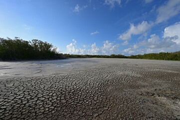 Dry exposed bed of Eco Pond under severe drought conditions in Evrerglades National Park, Florida.