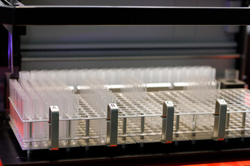 empty test tubes in racks in science research lab