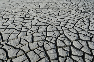 Dry exposed bed of Eco Pond under severe drought conditions in Evrerglades National Park, Florida.