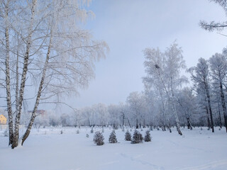 View of the winter street of the Omsk city.