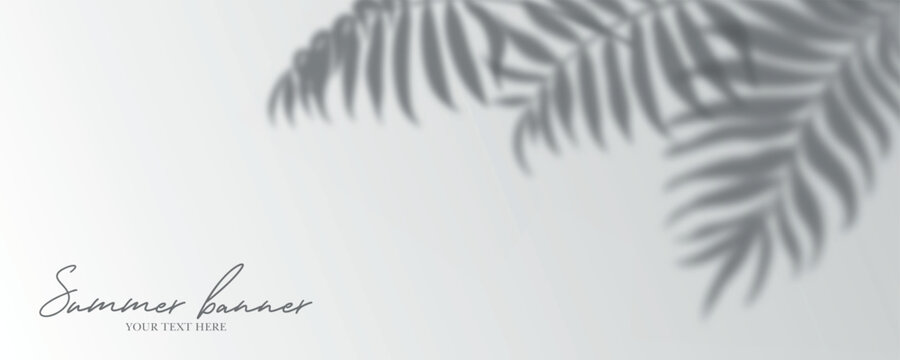 Panoramic tropical palm tree banner design