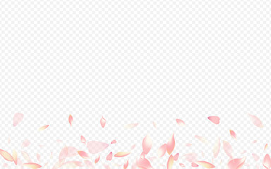Light Peach Vector Transparent Background. Rosa