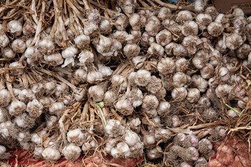 The unpeeled garlic piled up.