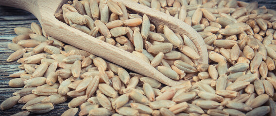 Rye grain with wooden spoon on old rustic board. Agriculture