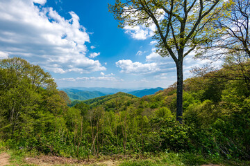 Fototapeta na wymiar View of the great Smoky Mountains from the new Found Gap Road