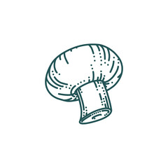 Champignon mushroom in doodle style. Forest or farm mushroom. Doodle vector illustration