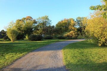 autumn in the park