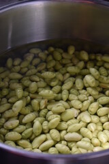 Soybeans soak in a water 