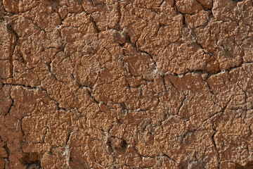 Texture of dry earth, mud, adobe. Brown color. Background for designs