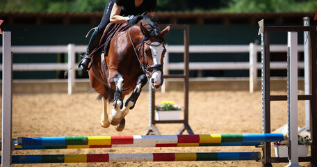 Horse with rider in sprint training, recorded during the flight phase over the obstacle..