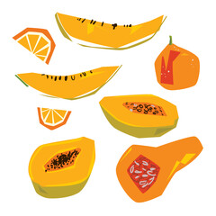 Papaya illustration set, pumpkin, papaya slices, papaya fruit