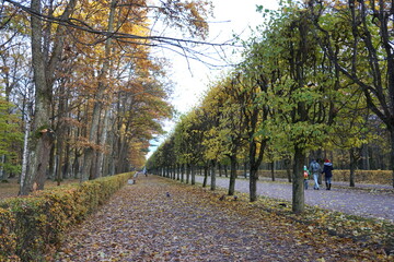Autumn Park in Russia