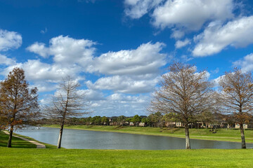 natural grass parkland lake park with autumn trees and water feature with blue sky and white puffy clouds