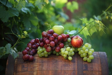 Bunches of red and white grapes with apples on a barrel in a vineyard