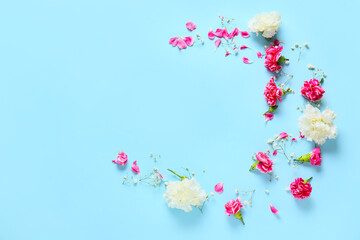 Beautiful carnation flowers on color background