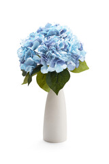 Subject shot of white ceramic vase with bouquet of pale blue hydrangeas. Bouquet of refined flowers...