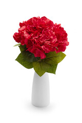 Subject shot of white ceramic vase with bouquet of red hydrangeas. Bouquet of refined flowers is isolated on the white background. 