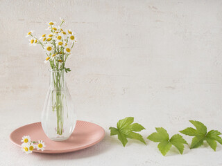 ガラスの花瓶に生けられたマトリカリア 