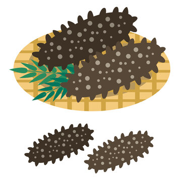 なまこ イラスト