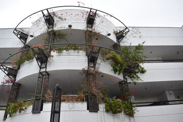 plants hanging on modern white building