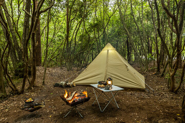 森でキャンプ　Camping in the early summer forest 