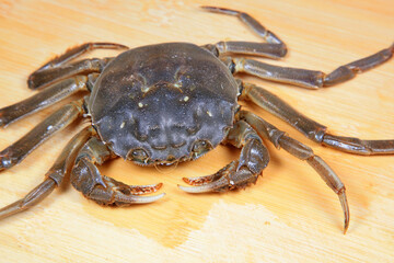 Fresh river crabs on the cutting board
