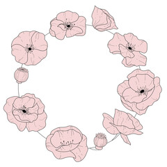 Floral, botanical wreath. Poppy. Vector illustration.