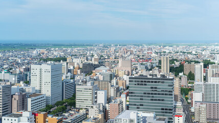 Fototapeta premium city skyline aerial view of Sendai in Japan