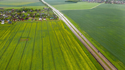 Top view of the sown green in Belarus.Agriculture in Belarus.Texture