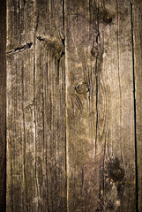 Texture natural old wooden background .