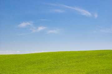 阿蘇の大草原　新緑