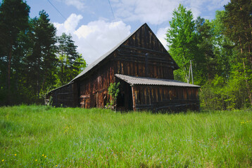 an empty barn in an orphan forest