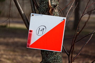 orientation checkpoint in white and orange mounted on a tree