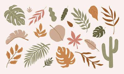 Modern colorful set of abstract tropical leaves. Botanical contemporary trendy vector illustration. 