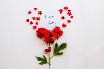 i am sorry message card handwriting with red flowers rubiaceae arrangement flat lay postcard hearts style on background white