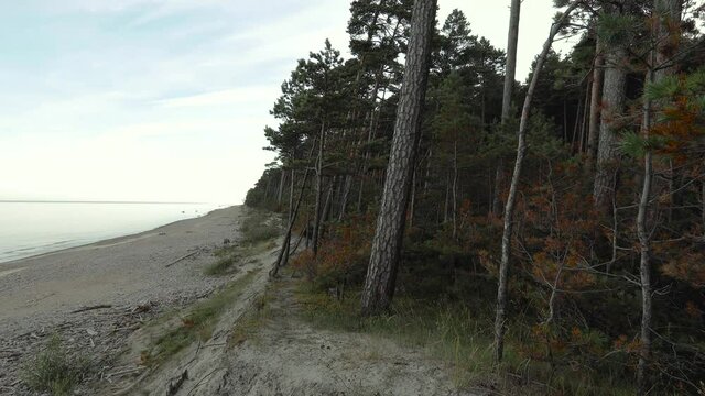 Baltic sea coast early in the morning before sunrise. Camera tilt movement .