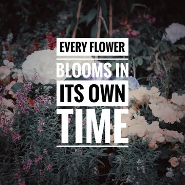 Inspirational motivating quote on blur background, "Every flower blooms in its own time"