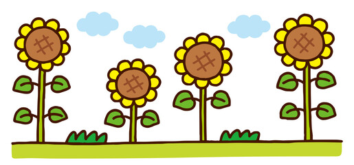 ひまわり畑に咲く向日葵