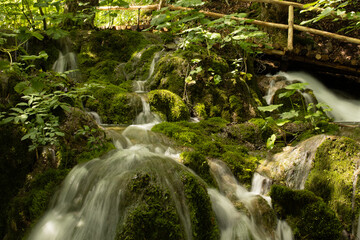 water flowing over moss covered stones creating little waterfalls
