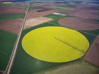 Center pivot irrigation system on a yellow rapeseed field aerial view