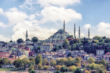 Fototapeta na wymiar Istanbul cityscape with the view on Suleymaniye Camii Mosque