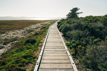 The Marina Peninsula Trail at Morro Bay State Park goes through the estuary and elfin forest near the harbor, California Central Coast