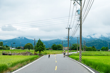 An Asian woman riding a bicycle and walking her dog on a country road in eastern Taiwan