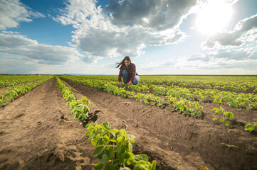 A young female farmer in a soybean field