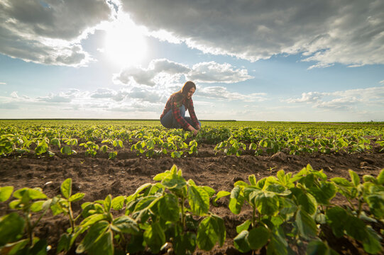 A young female farmer in a soybean field