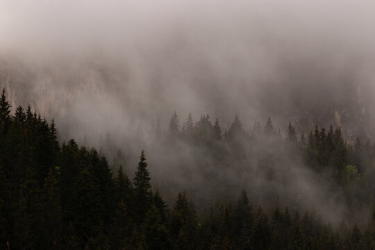 fog in the mountains © Robert