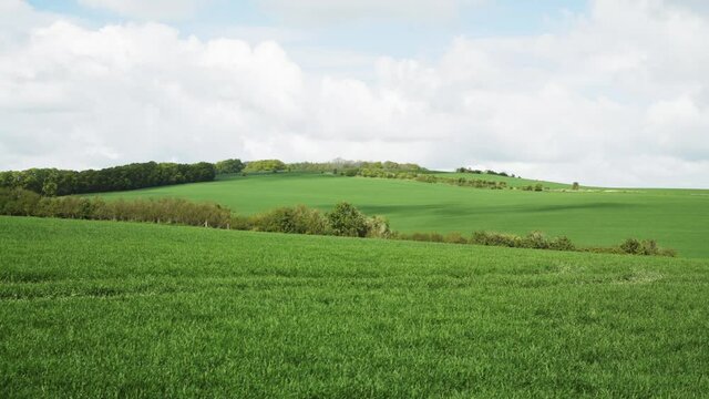 Timelapse of cloud shadows scudding across rolling English  meadows, late afternoon 4K