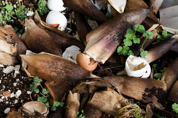 竹の子の皮と卵の殻を土の上に撒く